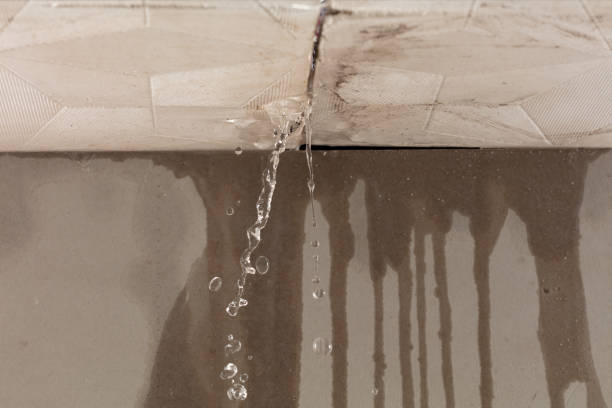 Professional Flood Damage Cleanup technician working in Randolph, MS